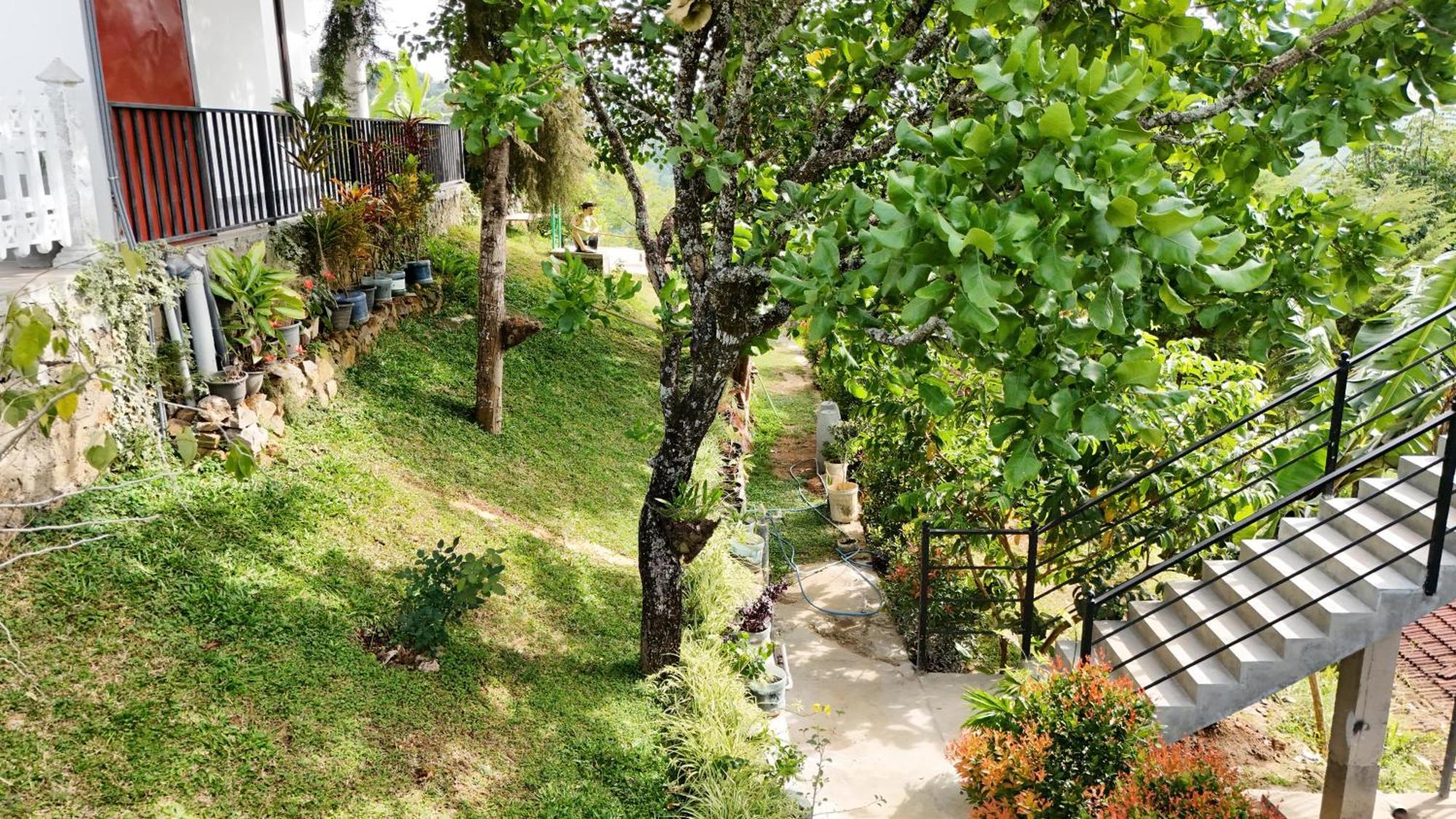 Cozy Cottage Ella Ngoại thất bức ảnh
